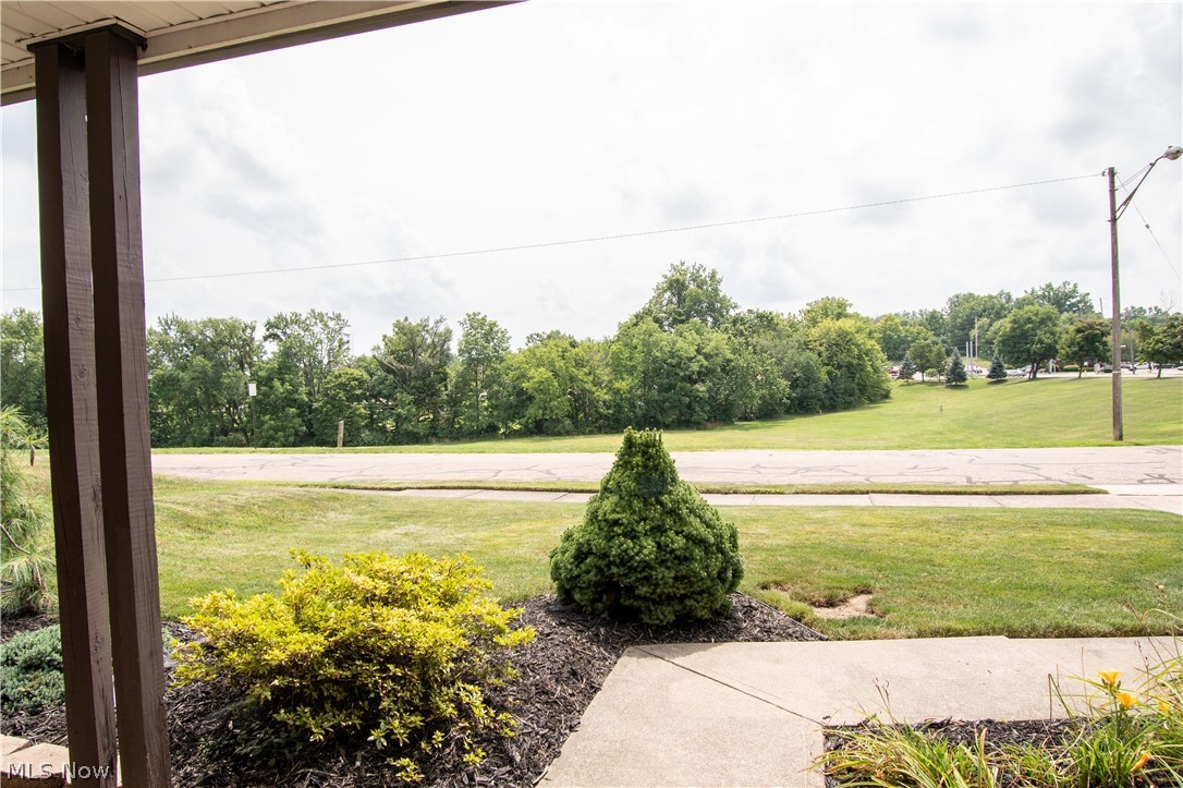734 Rice Street Alliance, OH 44601 - Photo 4 of 28 Beautiful lot overlooking Memorial Park.
