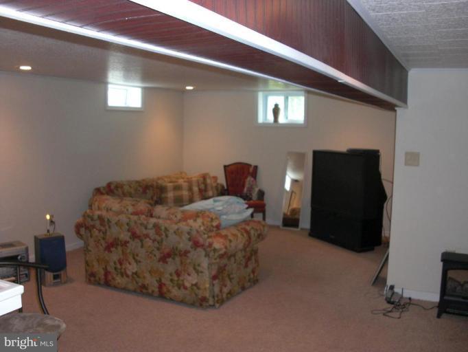 9121 Jordan Road Fairplay, MD 21733 - Photo 13 of 21 Finished Lower Level