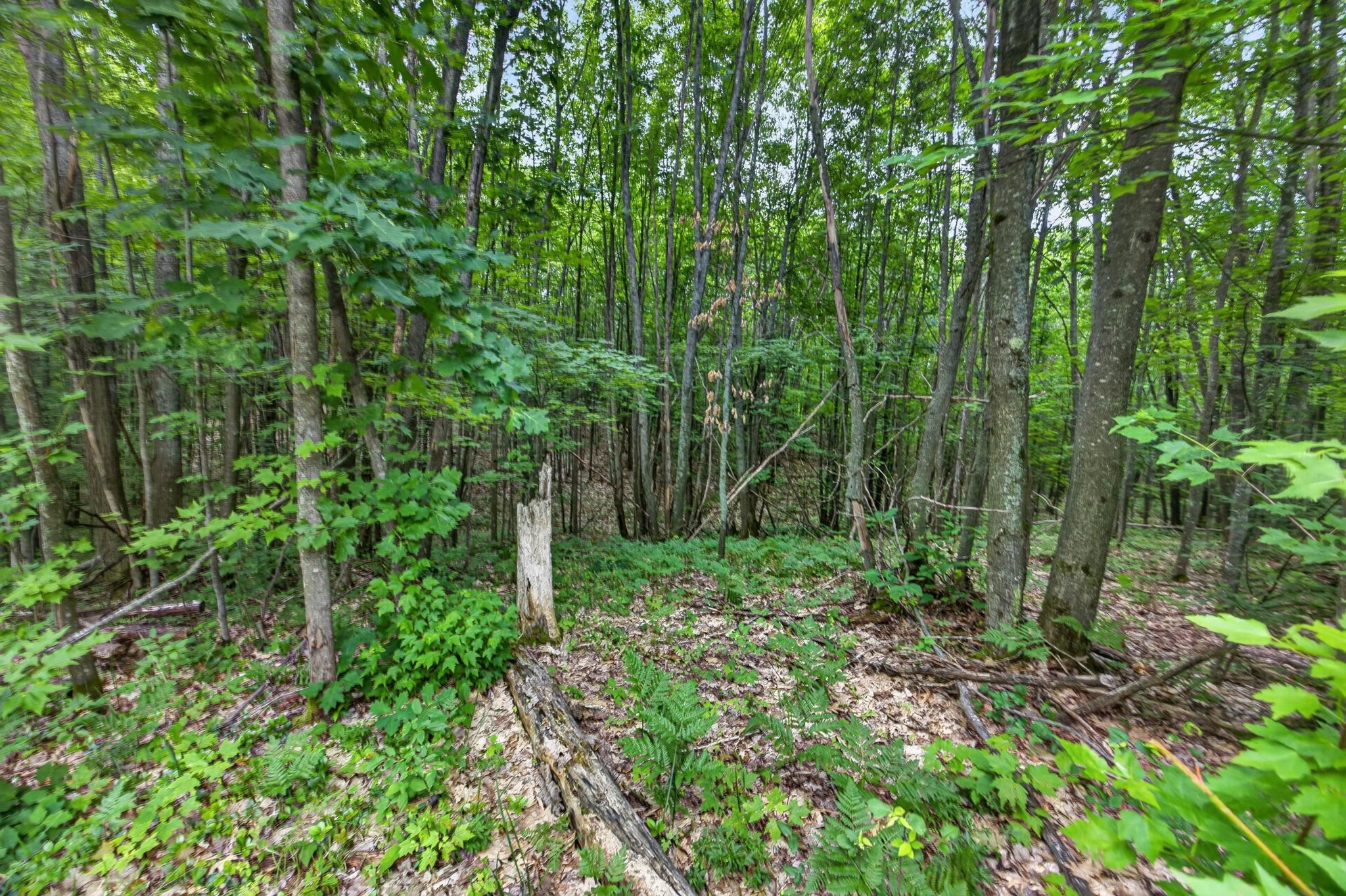 47 South 3/4 Road, Unit LOT: 11 Cadillac, MI 49601 - Photo 22 of 30