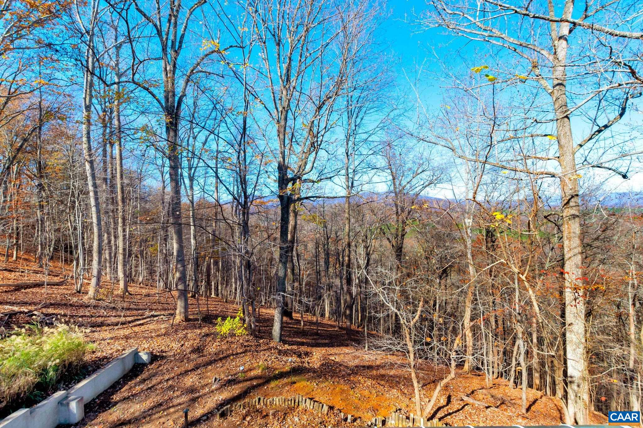 1664 Roberts Mountain Road Faber, VA 22938 - Photo 8 of 49 Gallery Image 8
