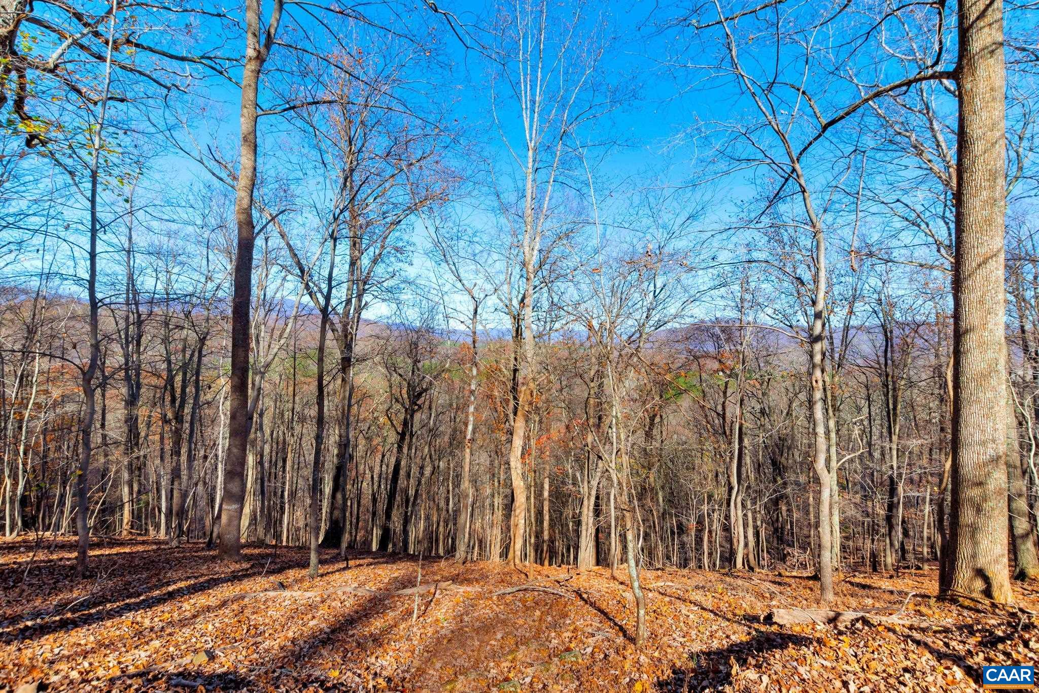 1664 Roberts Mountain Road Faber, VA 22938 - Photo 9 of 49 Gallery Image 9