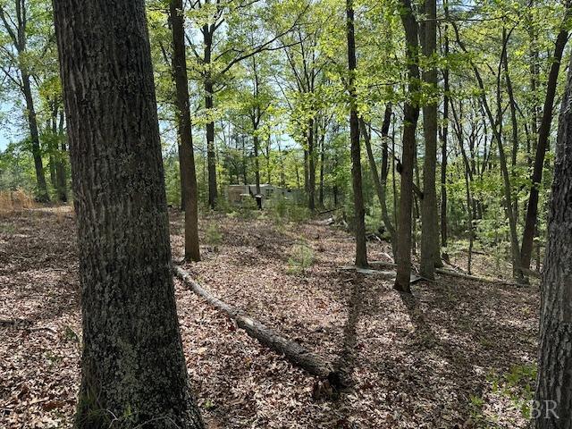 2319 West Perch Road Monroe, VA 24574 - Photo 13 of 50 a view of a forest with trees