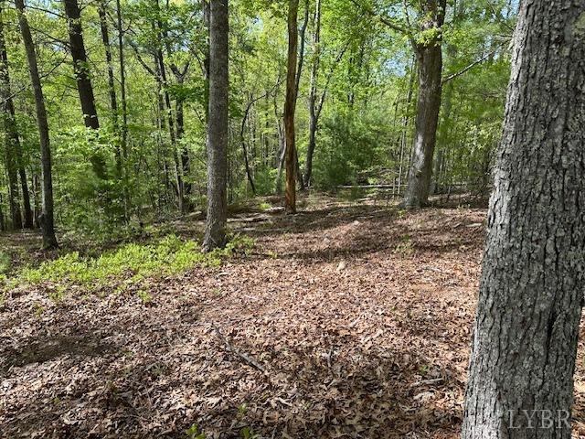 2319 West Perch Road Monroe, VA 24574 - Photo 14 of 50 a backyard of a house with lots of green space