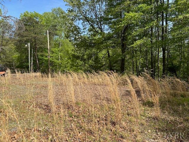 2319 West Perch Road Monroe, VA 24574 - Photo 15 of 50 a view of a yard