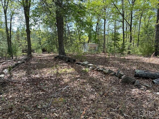 2319 West Perch Road Monroe, VA 24574 - Photo 24 of 50 a view of a forest with trees in the background