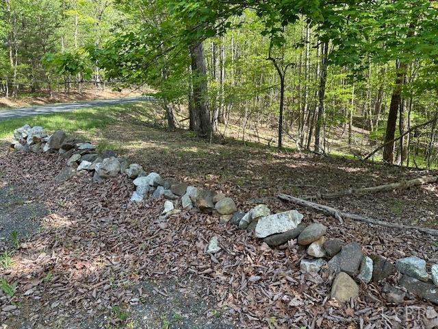 2319 West Perch Road Monroe, VA 24574 - Photo 40 of 50 a backyard of a house with lots of green space