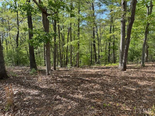 2319 West Perch Road Monroe, VA 24574 - Photo 4 of 50 a view of a forest with trees in the background