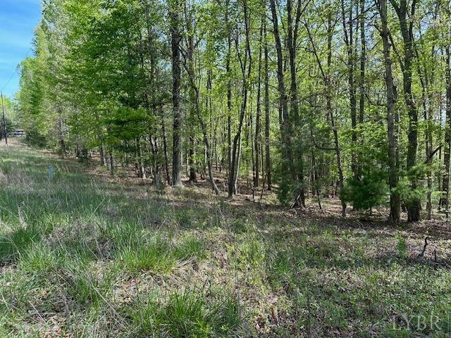 2319 West Perch Road Monroe, VA 24574 - Photo 46 of 50 a view of outdoor space with trees all around