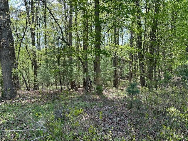 2319 West Perch Road Monroe, VA 24574 - Photo 47 of 50 a big yard with lots of green space and house