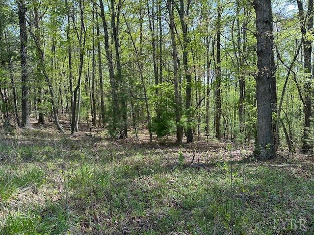 2319 West Perch Road Monroe, VA 24574 - Photo 48 of 50 a view of outdoor space with trees