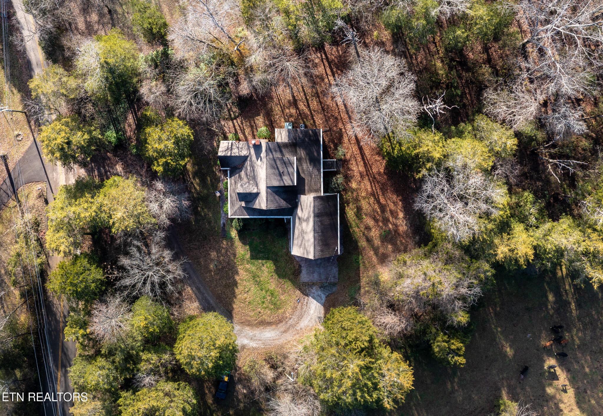 6215 Cardwell Road Corryton, TN 37721 - Photo 6 of 22 a view of house with yard and green space