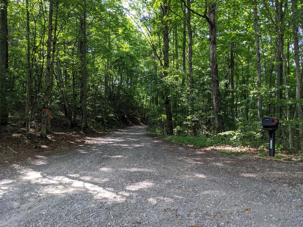 0 Town Mountain Road Hayesville, NC 28904 - Photo 1 of 8 Main View