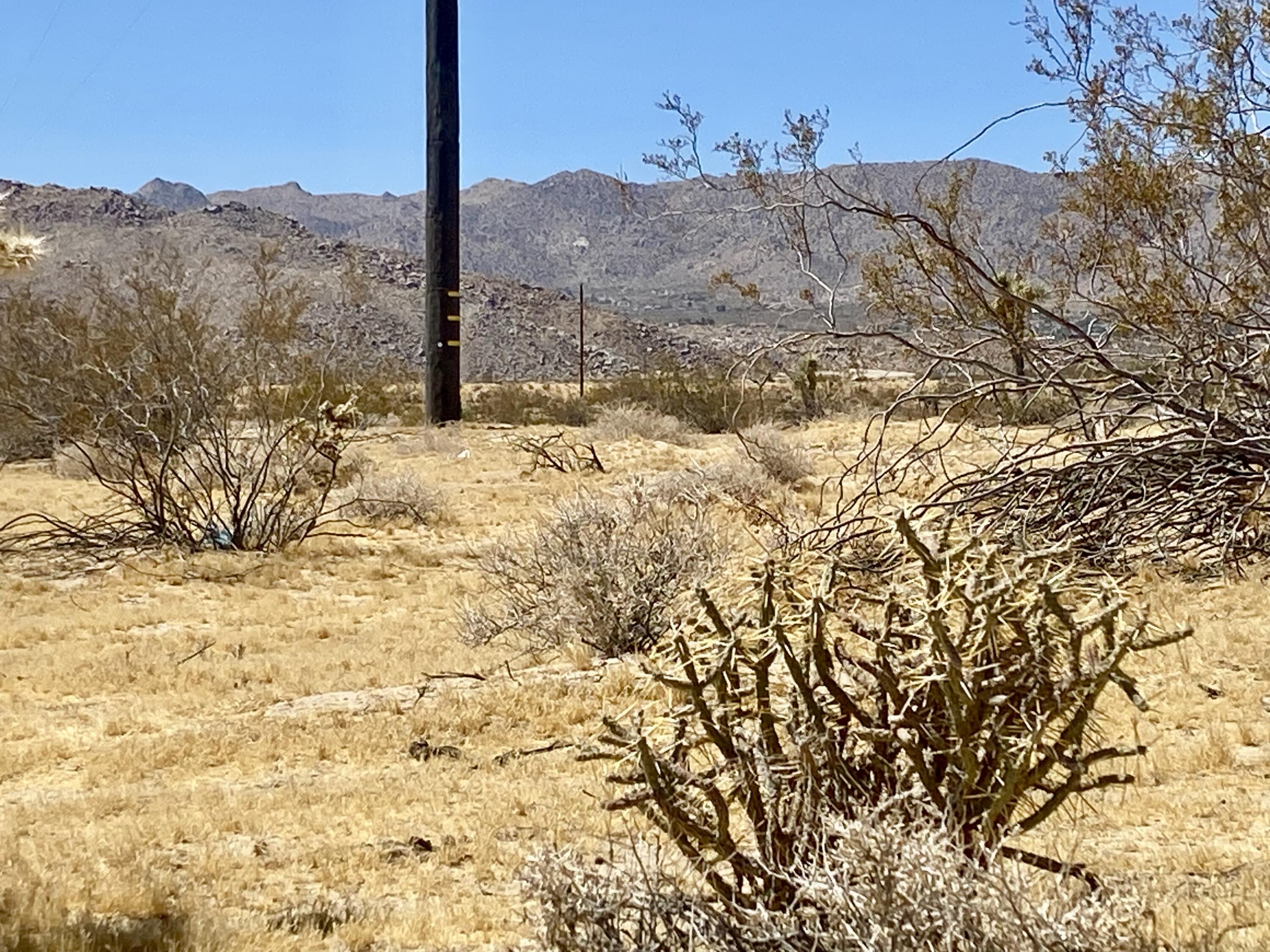 62585 2 Mile Road Joshua Tree, CA 92252 - Photo 45 of 66 IMG_9237