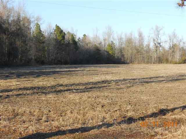 85-ac Horse Branch Road Turbeville, SC 29162 - Photo 1 of 3 Gallery Image 1