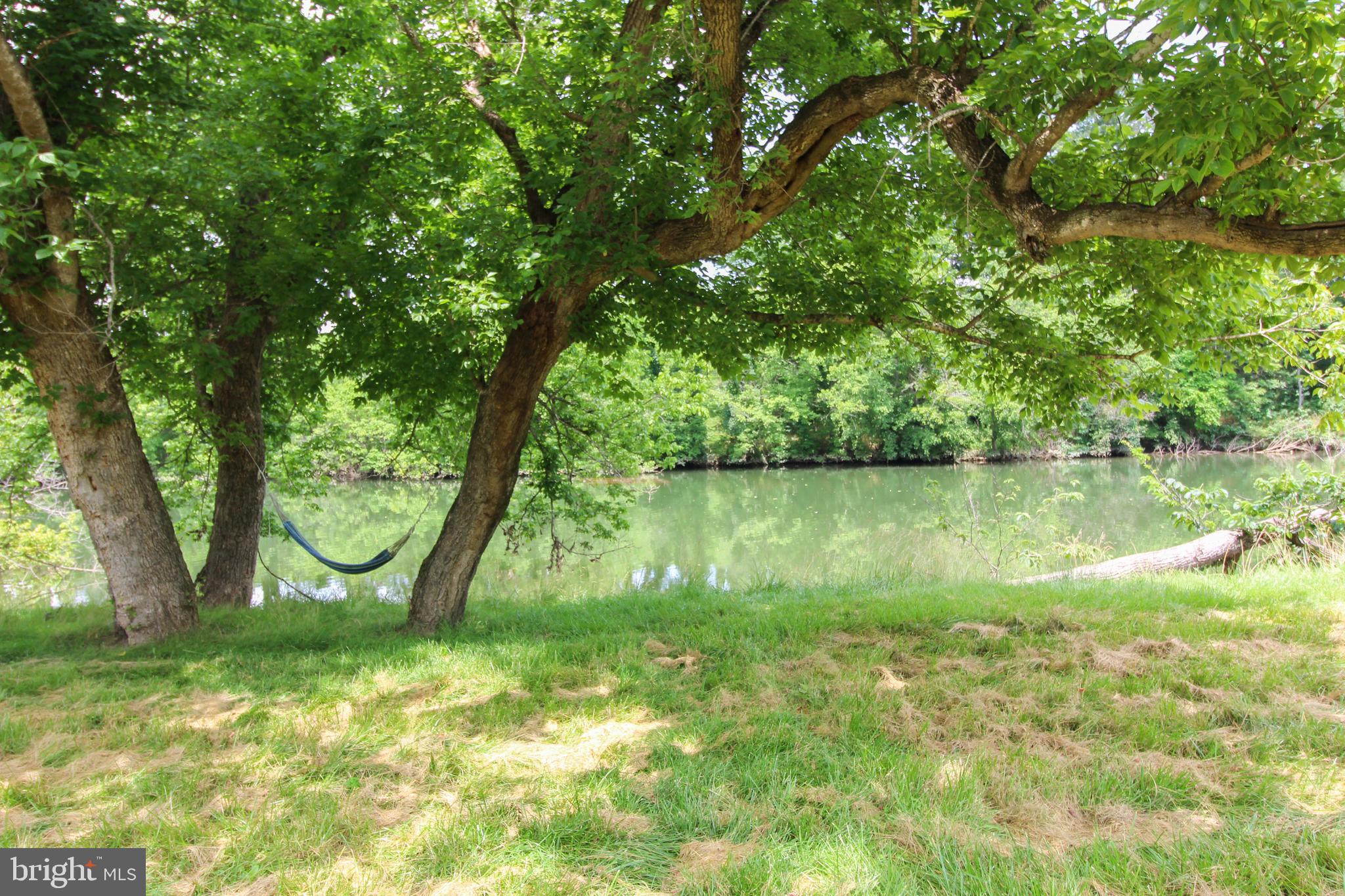 Stage Coach Road Woodstock, VA 22664 - Photo 1 of 25 a view of a lake with a tree