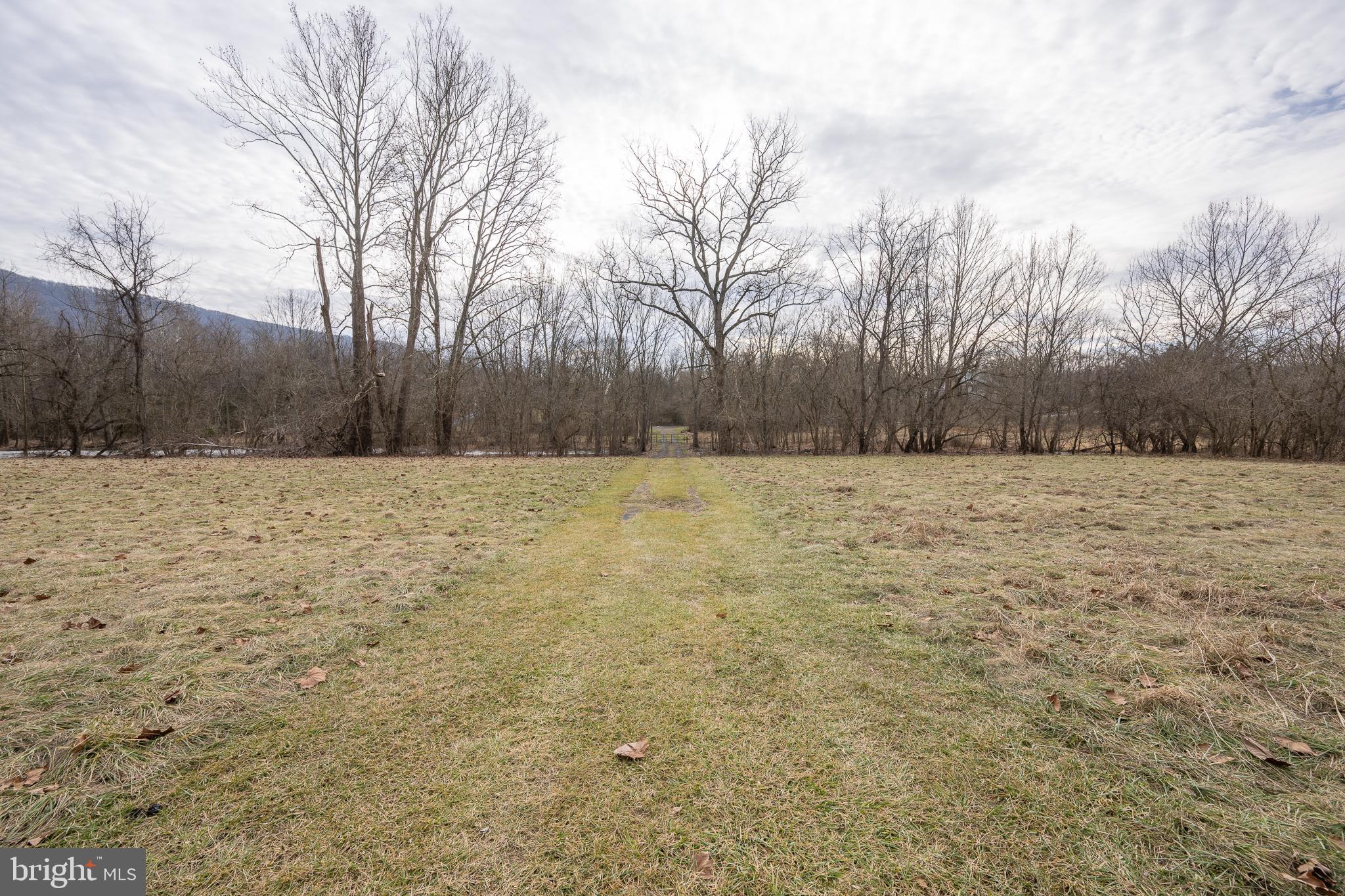 Stage Coach Road Woodstock, VA 22664 - Photo 14 of 25 a view of a field with trees in the background
