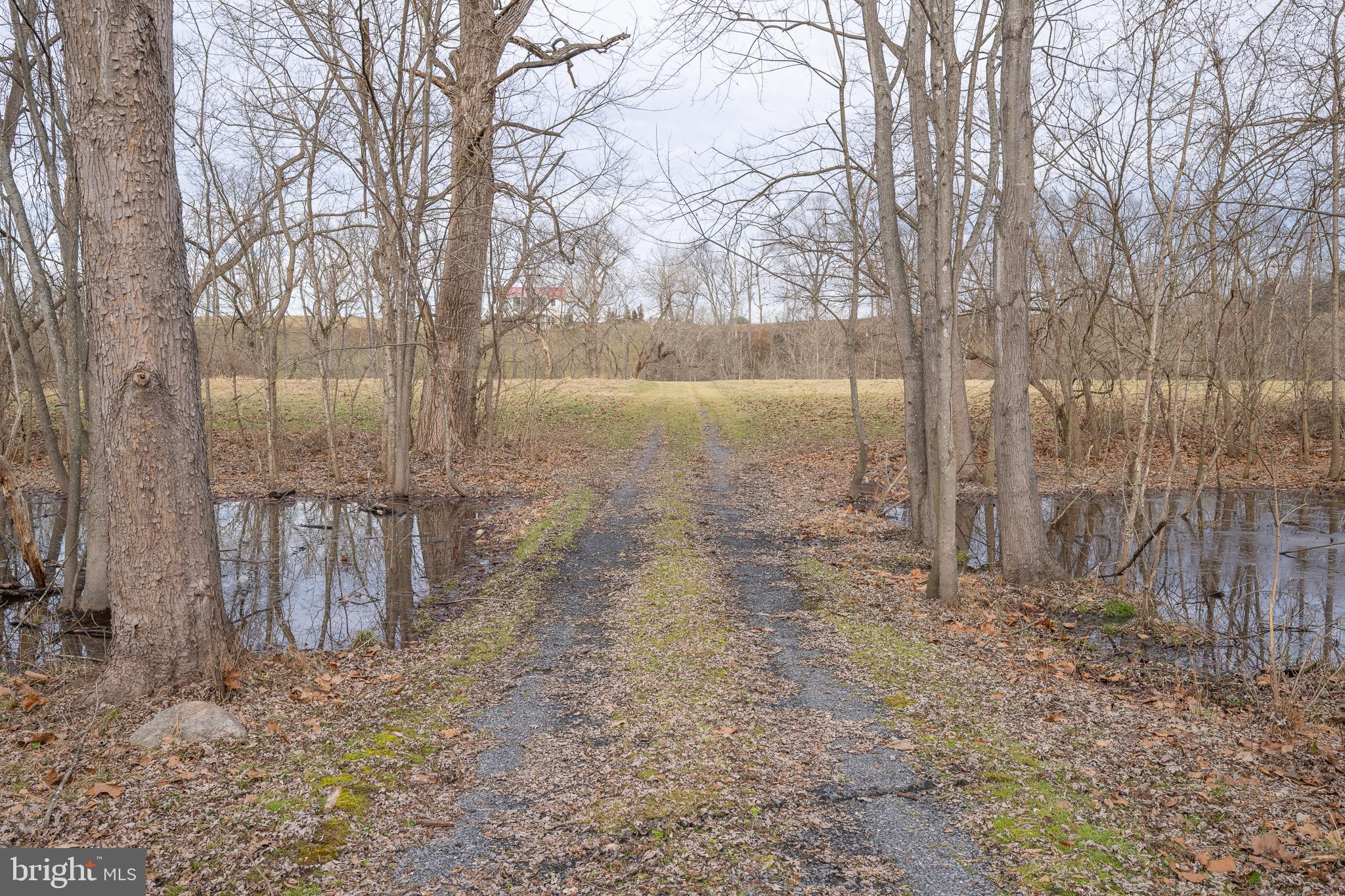 Stage Coach Road Woodstock, VA 22664 - Photo 15 of 25 a backyard of a house with lots of green space