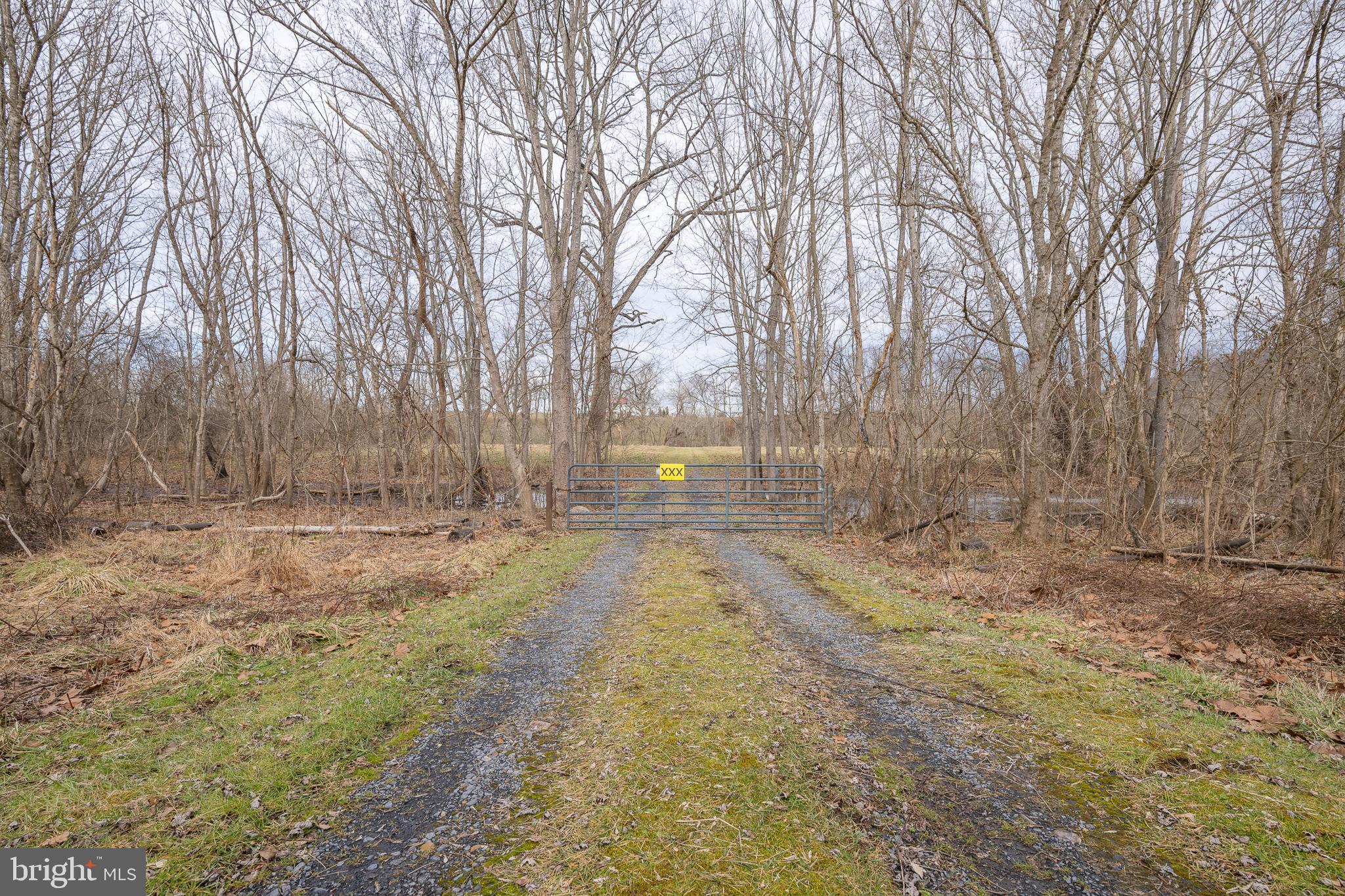 Stage Coach Road Woodstock, VA 22664 - Photo 16 of 25 a view of a yard with trees