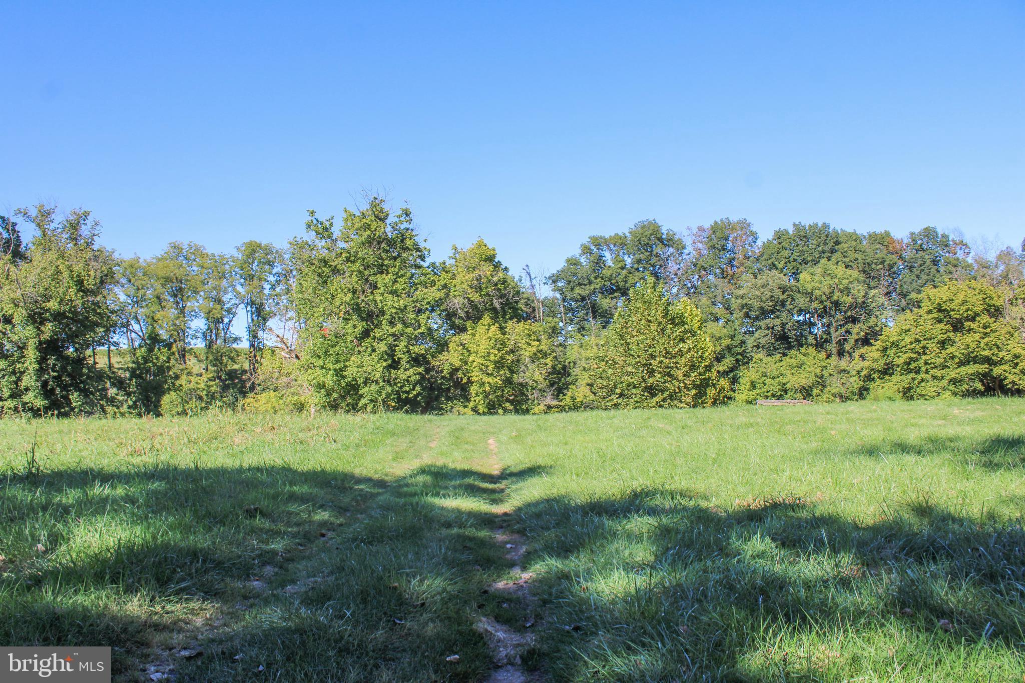 Stage Coach Road Woodstock, VA 22664 - Photo 17 of 25 a view of a field with trees in the background