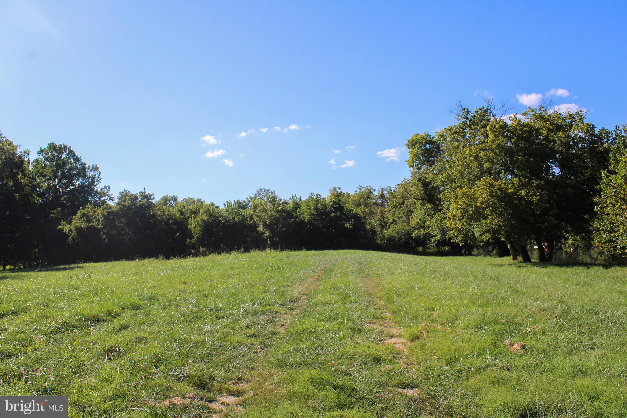Stage Coach Road Woodstock, VA 22664 - Photo 19 of 25 a view of an outdoor space and a yard
