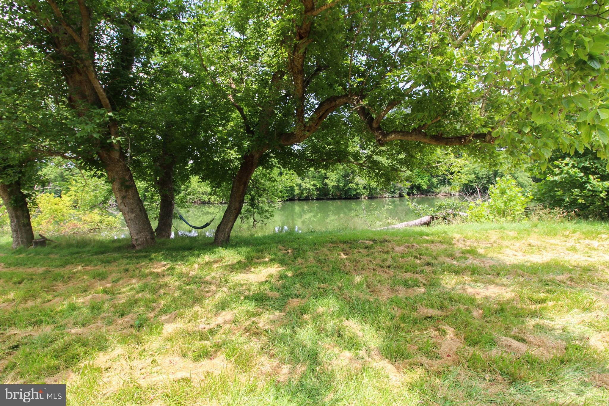 Stage Coach Road Woodstock, VA 22664 - Photo 2 of 25 a backyard of a house with a large tree