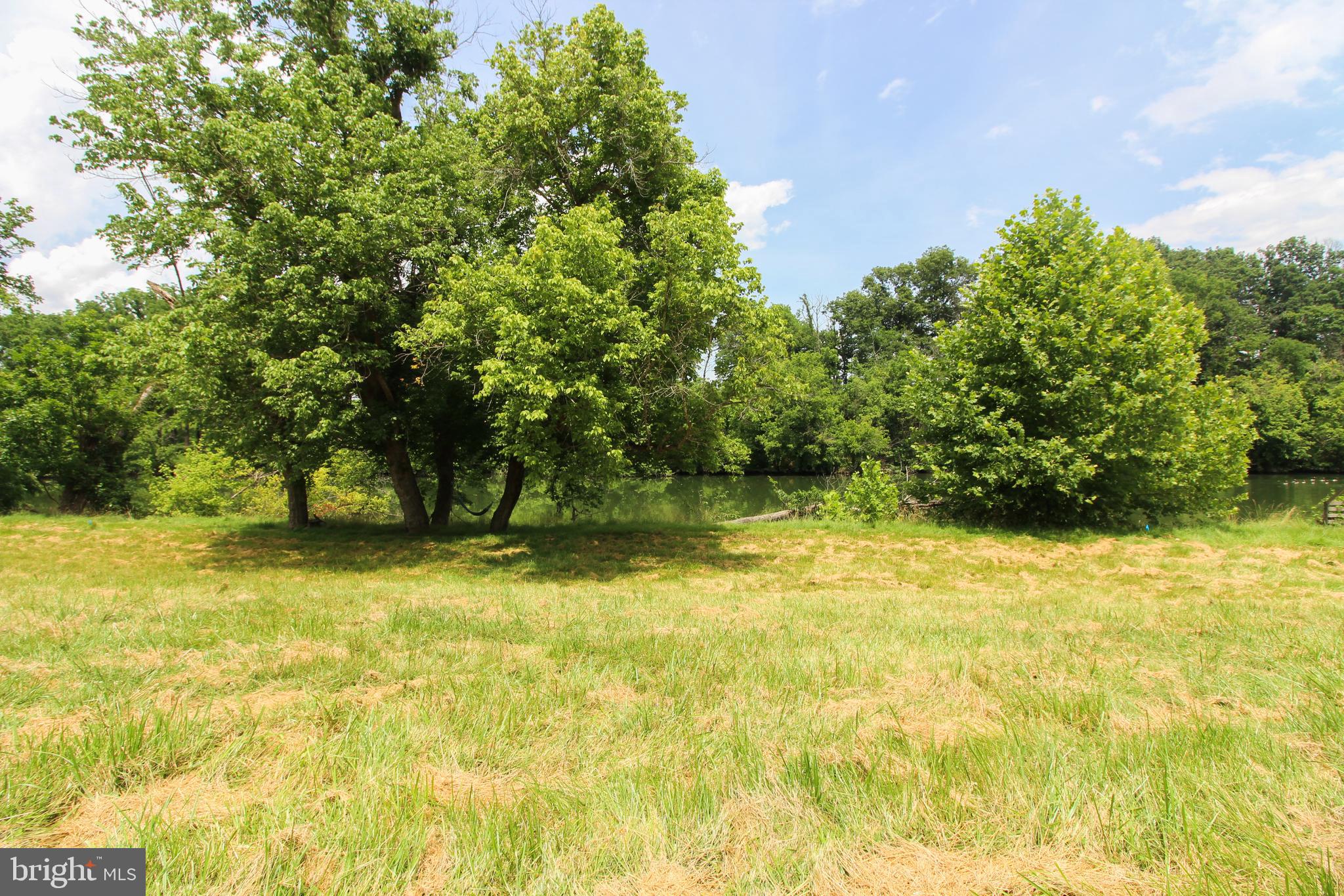 Stage Coach Road Woodstock, VA 22664 - Photo 3 of 25 a view of a yard with a trees
