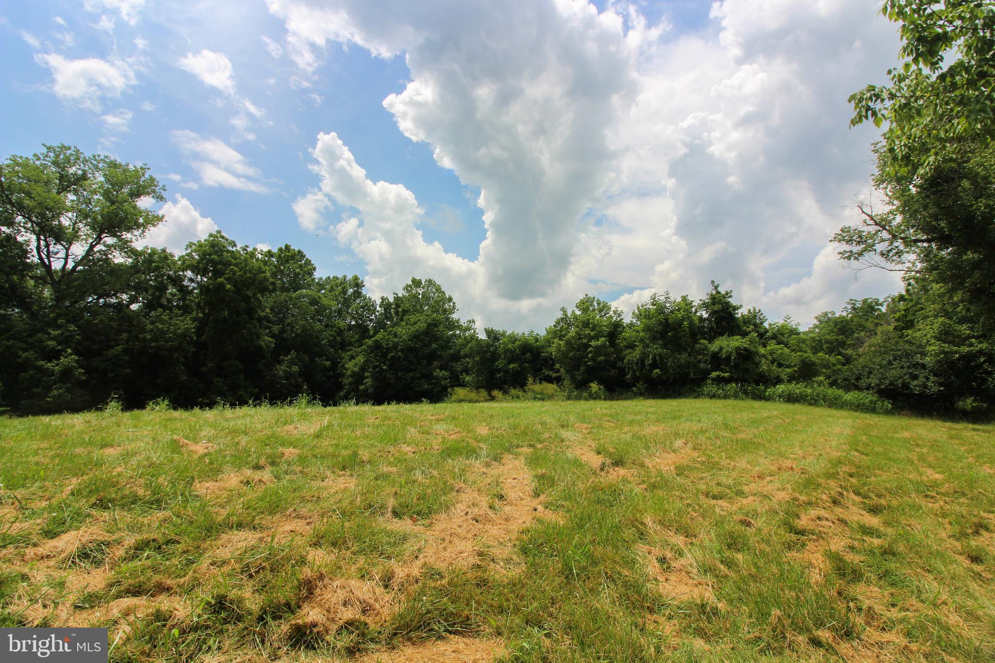 Stage Coach Road Woodstock, VA 22664 - Photo 5 of 25 a view of big yard with an empty space