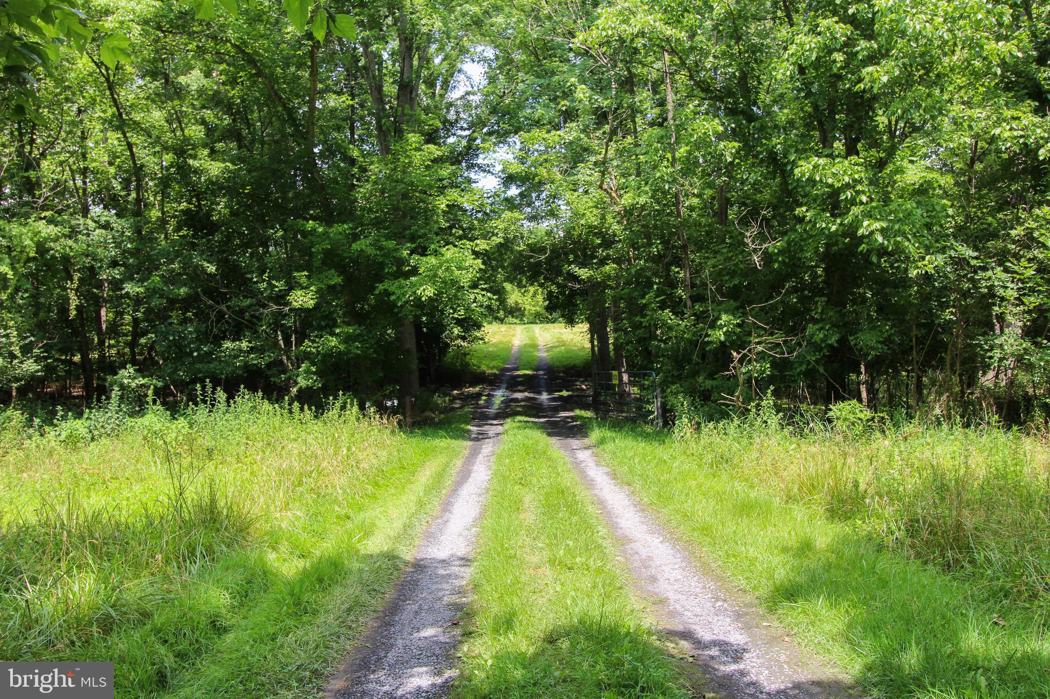 Stage Coach Road Woodstock, VA 22664 - Photo 6 of 25 a view of yard with green space
