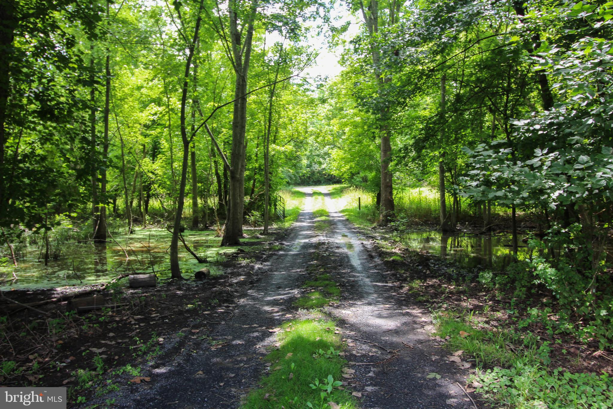 Stage Coach Road Woodstock, VA 22664 - Photo 7 of 25 a backyard of a house with lots of green space