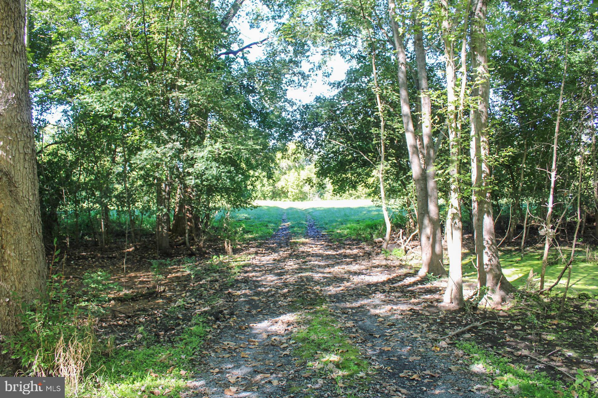 Stage Coach Road Woodstock, VA 22664 - Photo 8 of 25 a backyard of a house with lots of green space