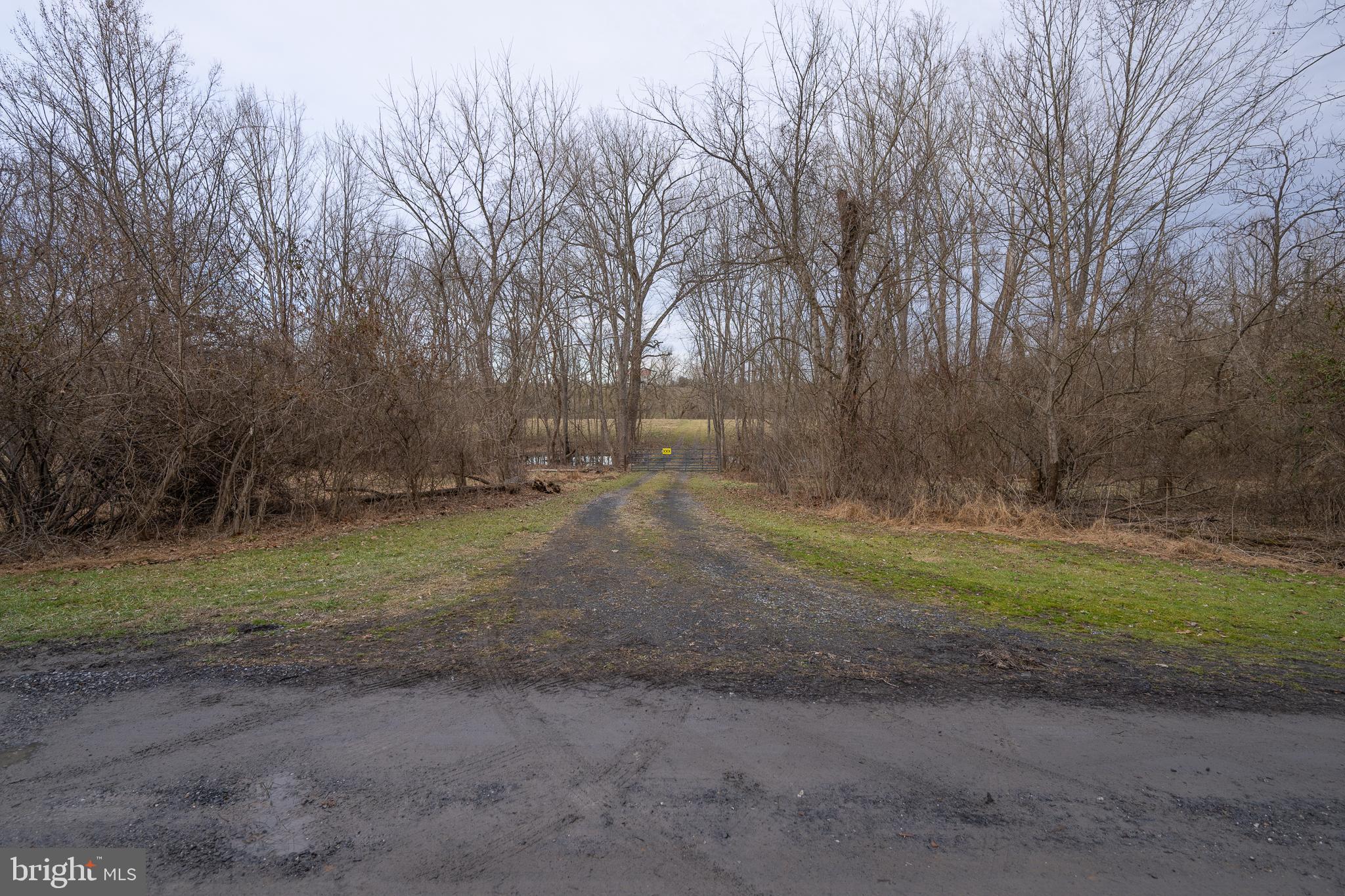 Stage Coach Road Woodstock, VA 22664 - Photo 9 of 25 a view of a field with trees in background