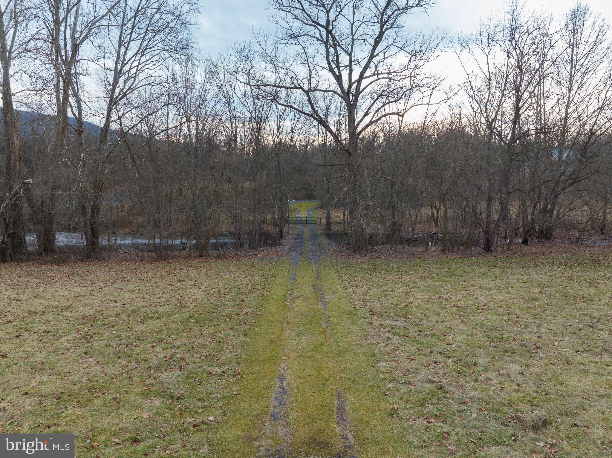 Stage Coach Road Woodstock, VA 22664 - Photo 10 of 25 a view of backyard and tree