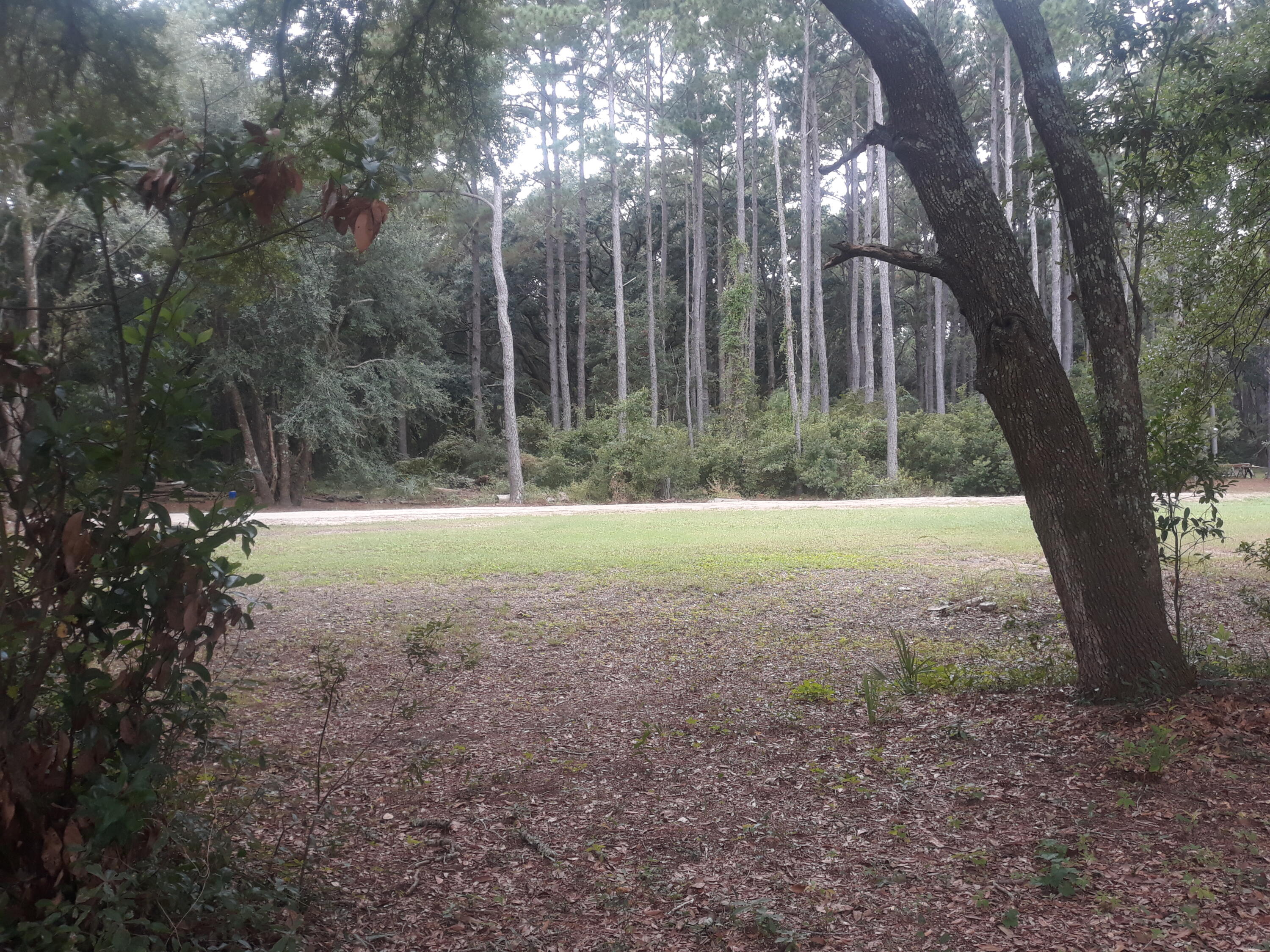 2152 Mcneil Washington Road Charleston, SC 29412 - Photo 2 of 20 20211010_111652 (1)