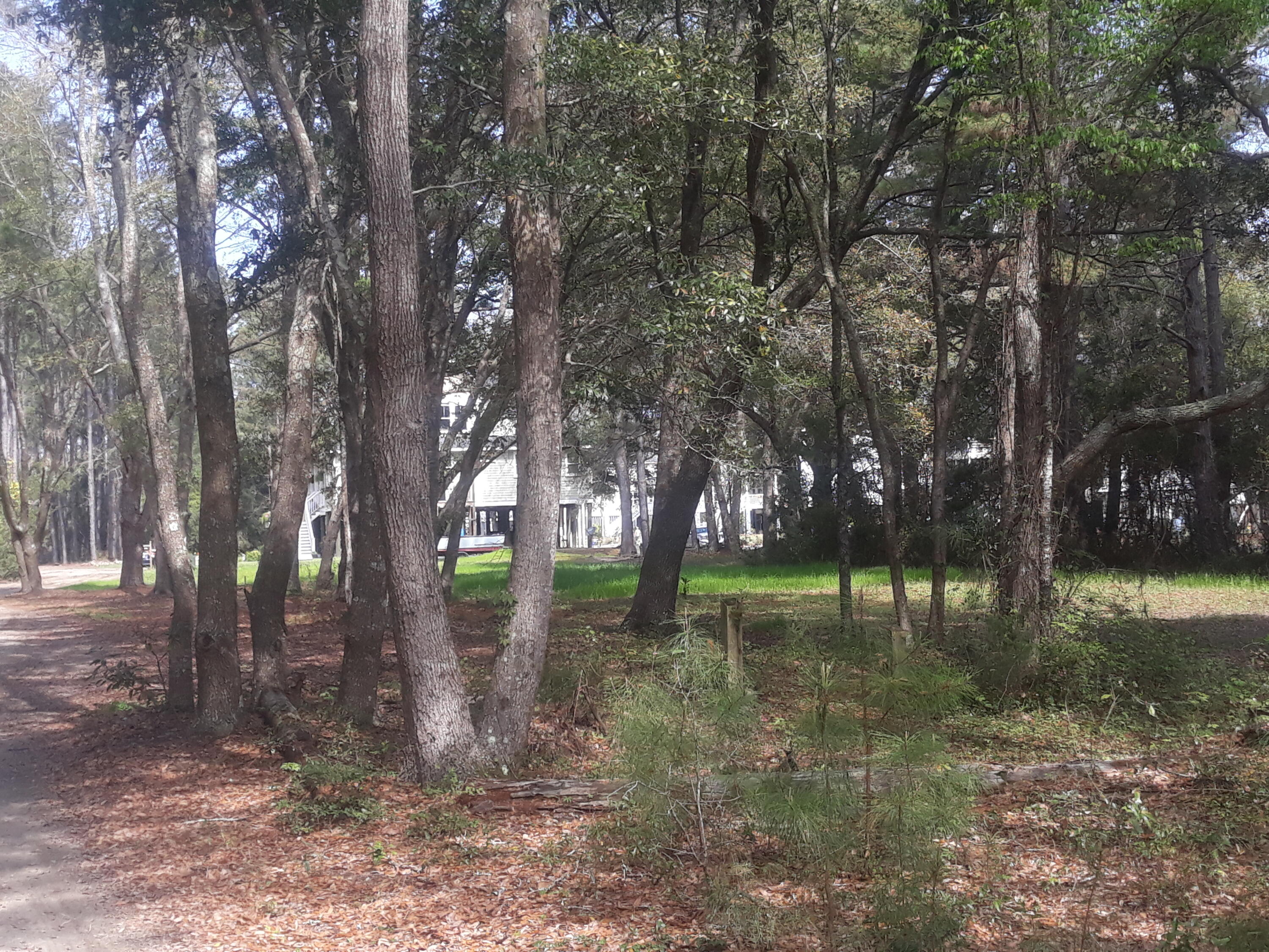 2152 Mcneil Washington Road Charleston, SC 29412 - Photo 7 of 20 20210327_114659