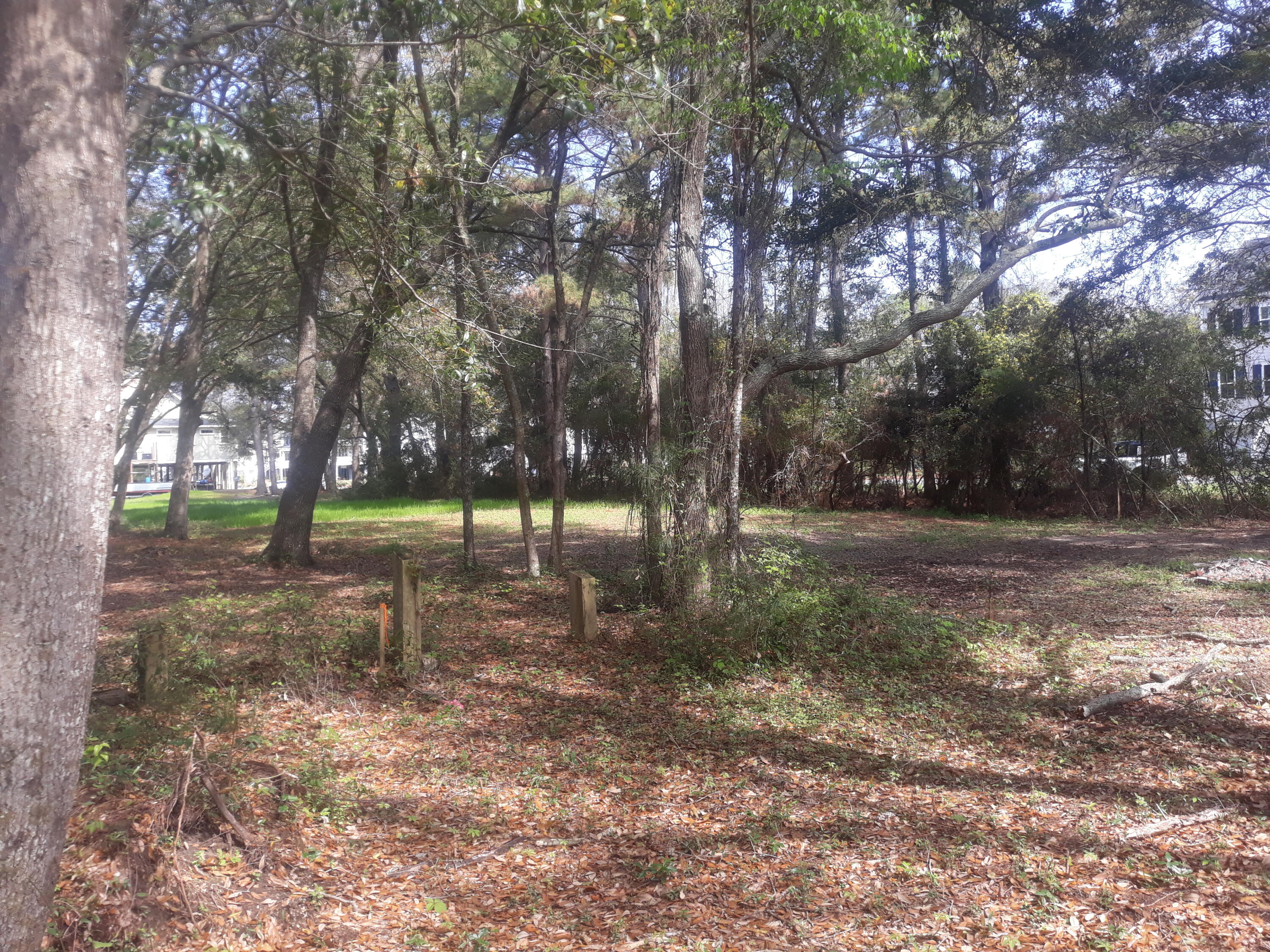 2152 Mcneil Washington Road Charleston, SC 29412 - Photo 9 of 20 20210327_114615
