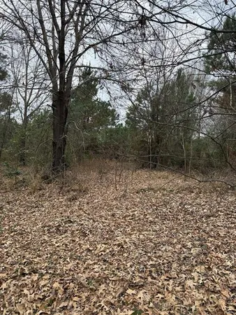 a view of a dry yard with trees
