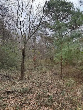 a view of a yard with an outdoor space