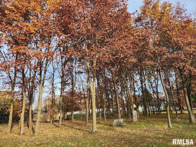 $170,000 | Lot 318-325 West & 3 W 19th Avenue, Coal Valley, IL 61240