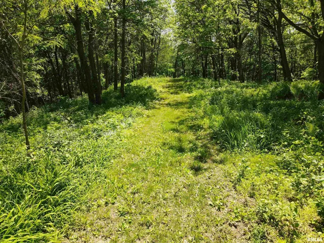 $170,000 | Lot 318-325 West & 3 W 19th Avenue, Coal Valley, IL 61240