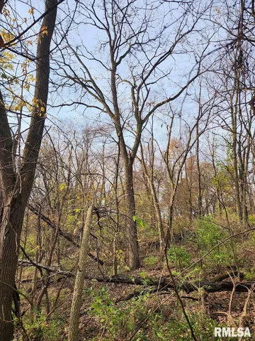 $170,000 | Lot 318-325 West & 3 W 19th Avenue, Coal Valley, IL 61240