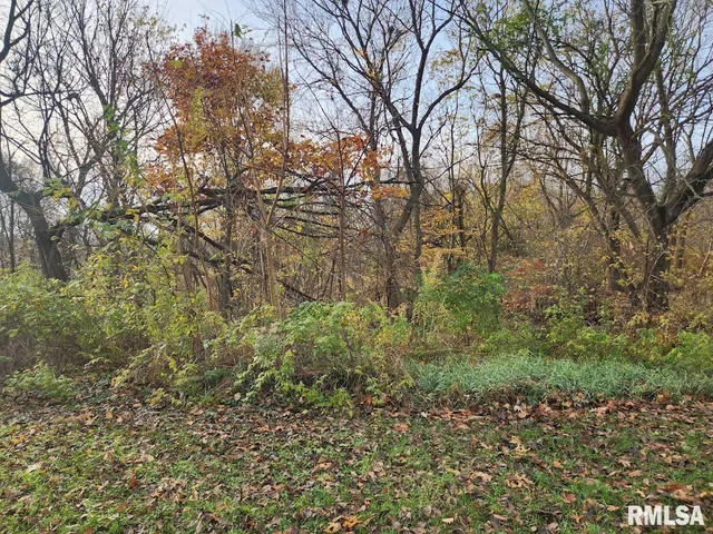 $170,000 | Lot 318-325 West & 3 W 19th Avenue, Coal Valley, IL 61240