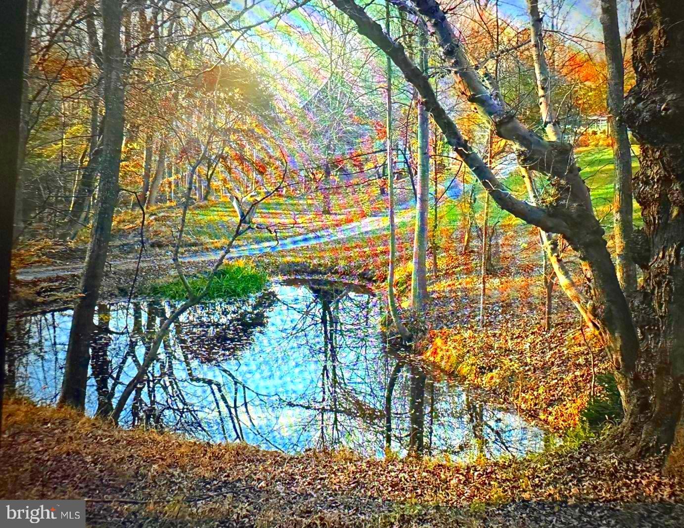 7244 Mink Hollow Road Highland, MD 20777 - Photo 103 of 119 Upper Pond Fall Setting
