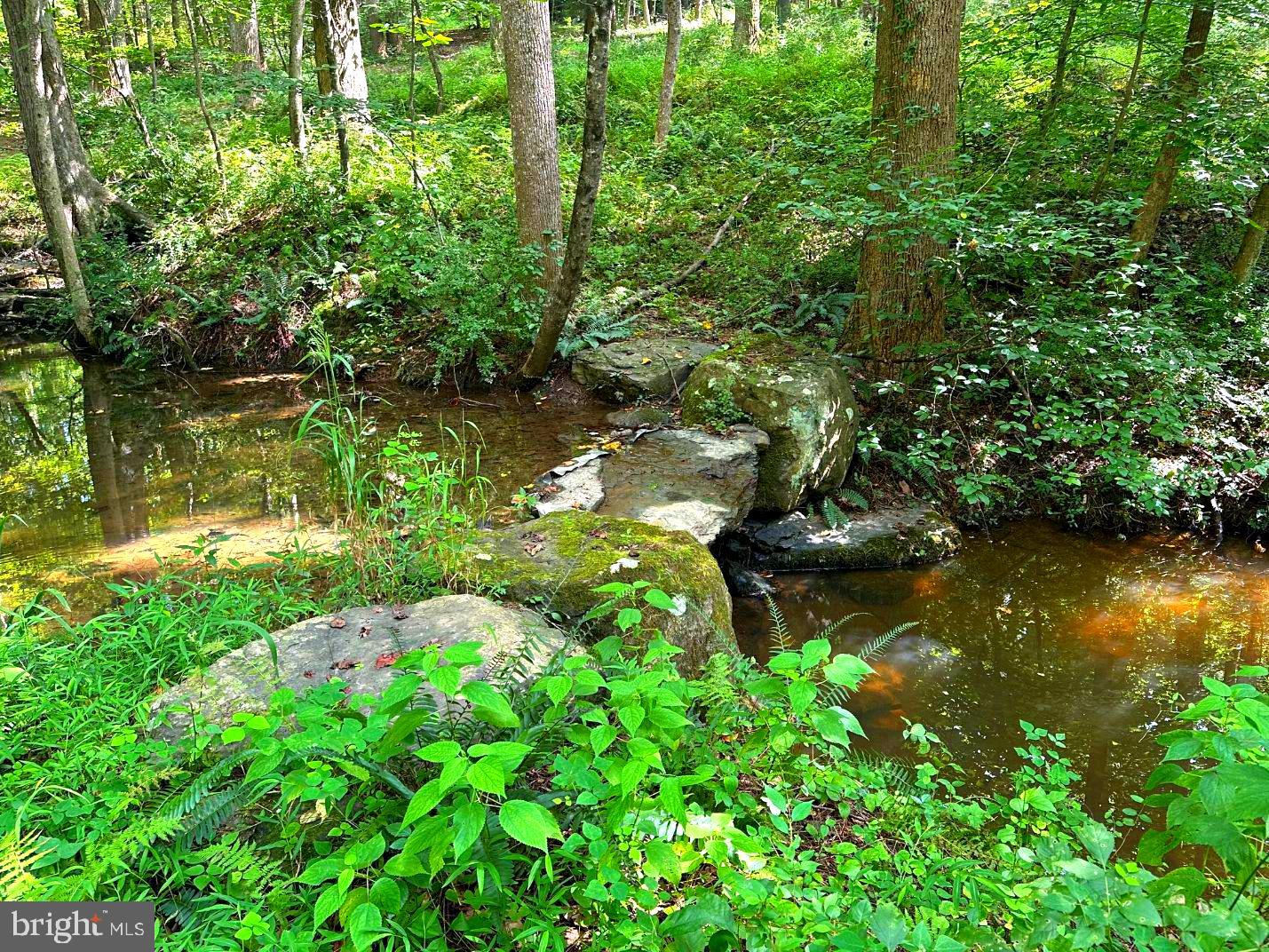 7244 Mink Hollow Road Highland, MD 20777 - Photo 105 of 116 a backyard of a house with lots of green space and lake view