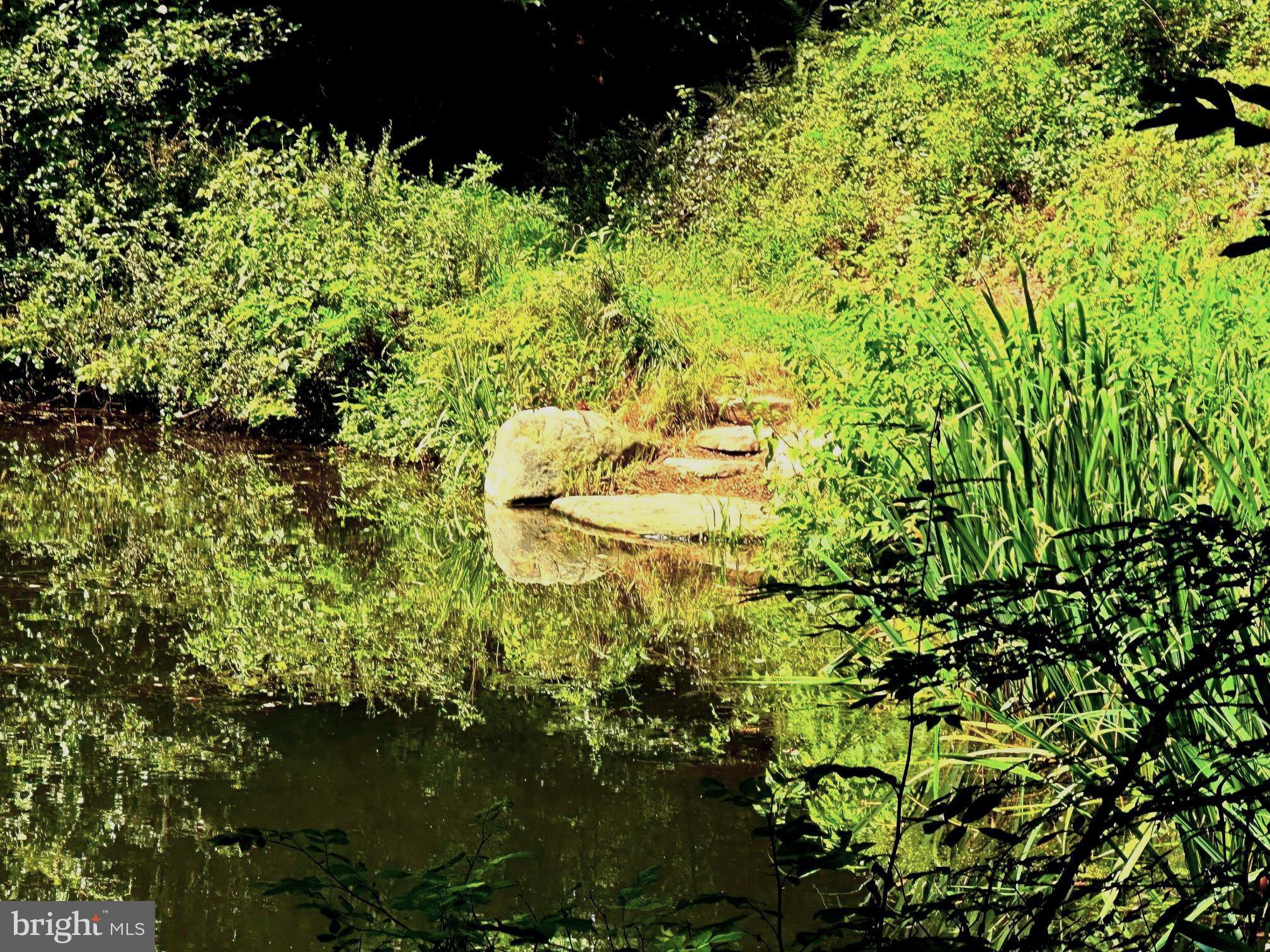 7244 Mink Hollow Road Highland, MD 20777 - Photo 107 of 120 Stone Steps at Serendity Pond