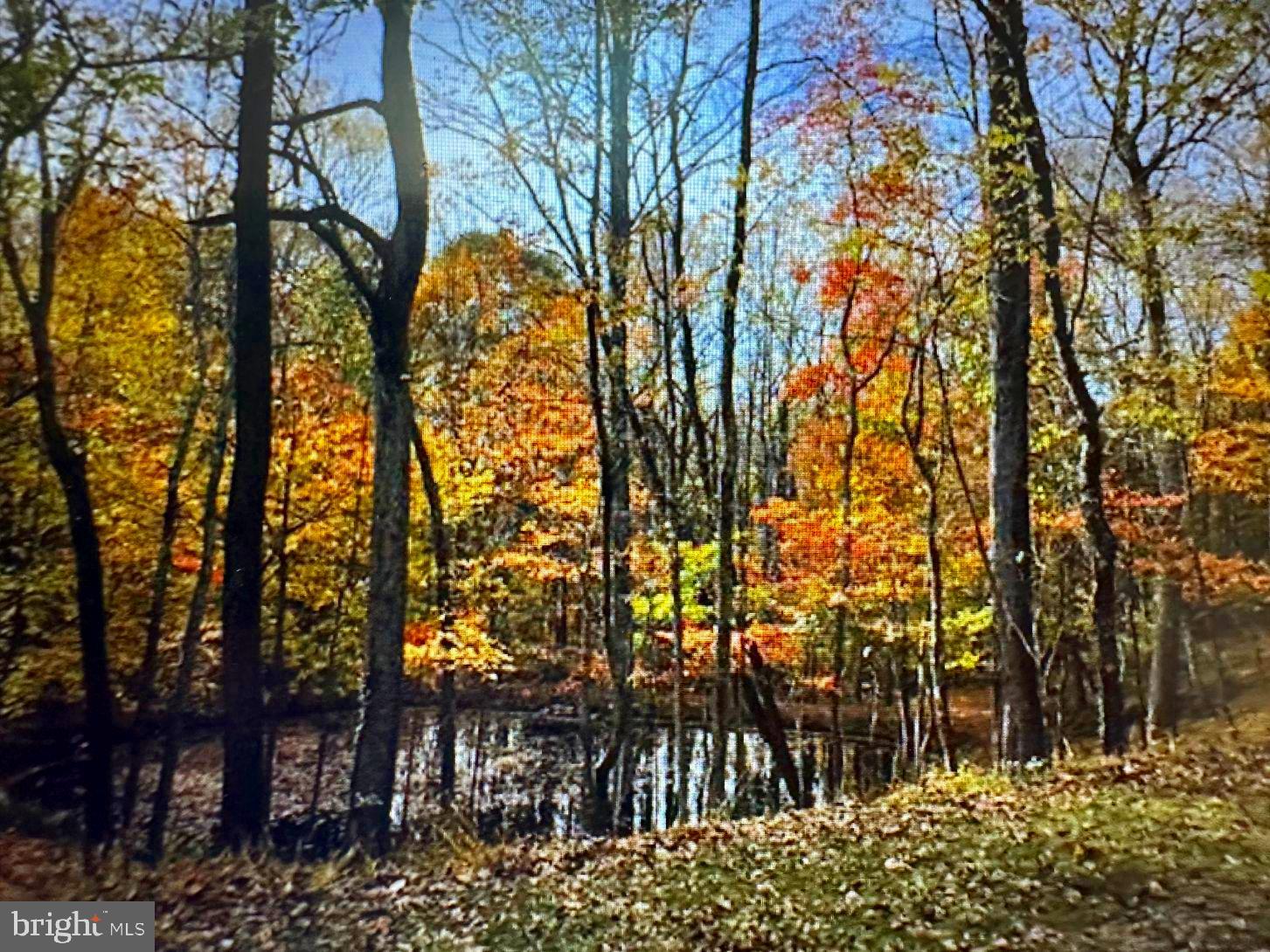 7244 Mink Hollow Road Highland, MD 20777 - Photo 111 of 120 Serenity Pond, Fall Setting