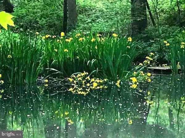$1,339,000 | 7244 Mink Hollow Road, Highland, MD 20777