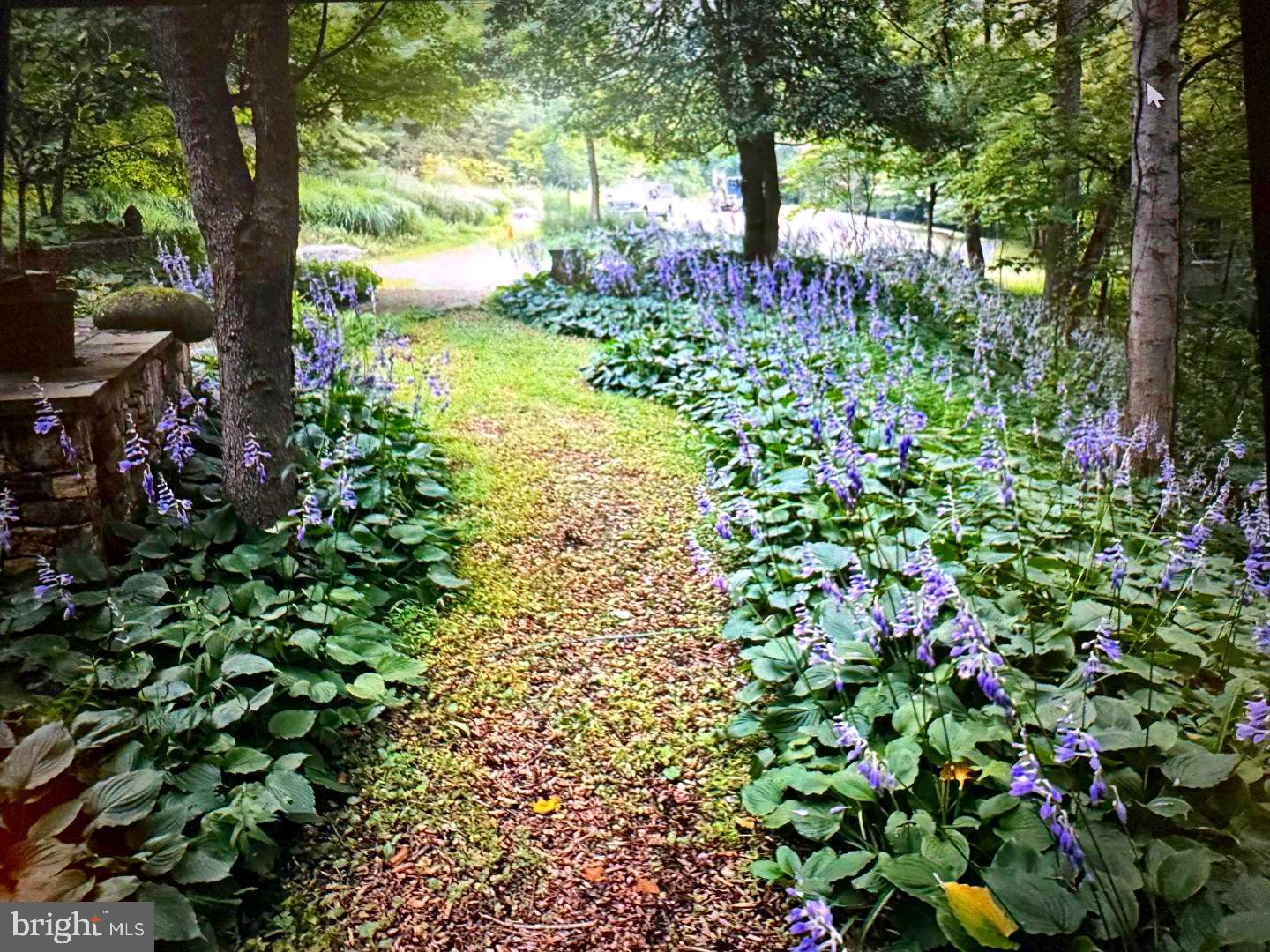 7244 Mink Hollow Road Highland, MD 20777 - Photo 9 of 120 Hosta/Plantain Lily Pathway