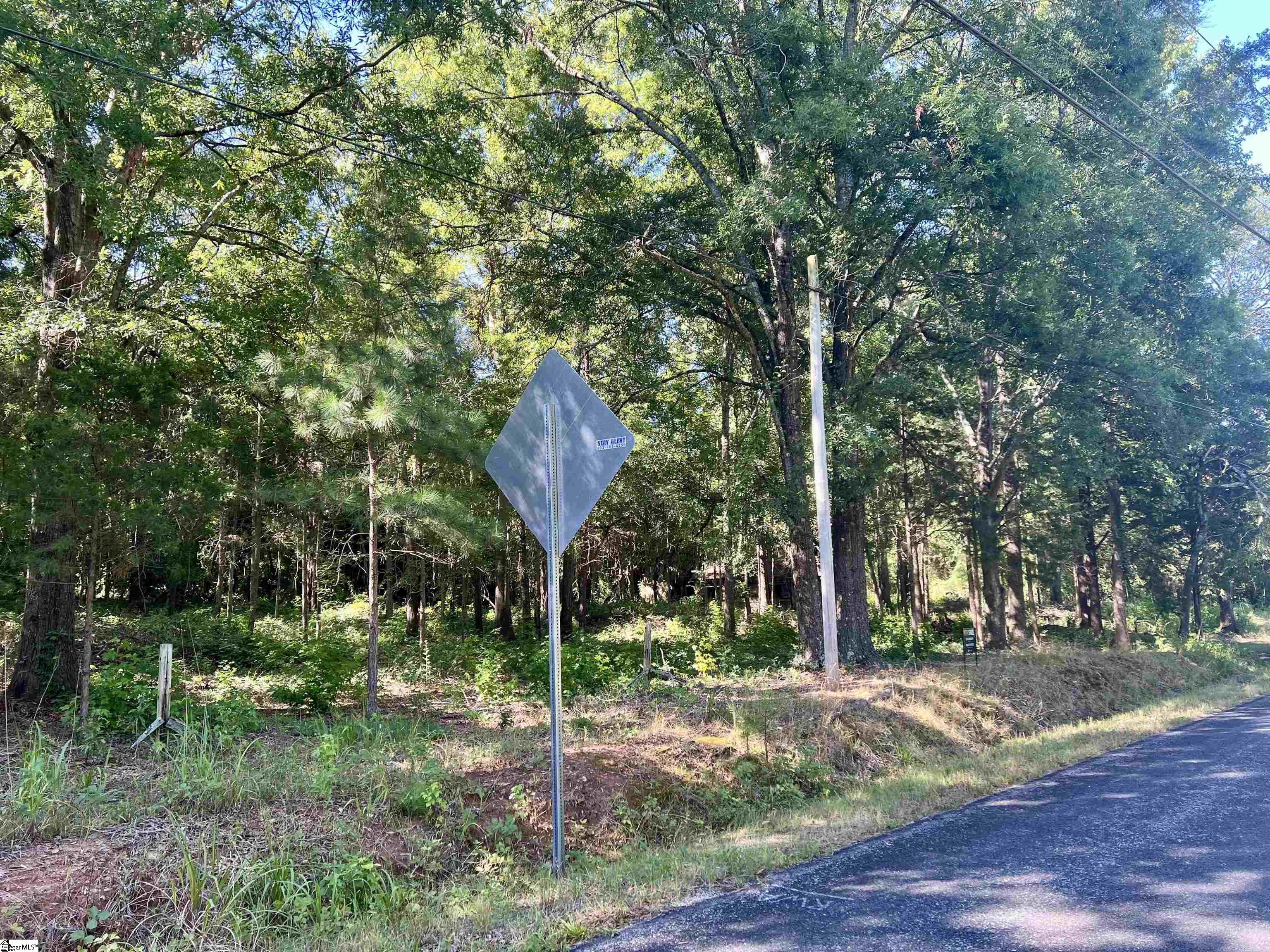 0 Powers Road, Unit A1 Laurens, SC 29360 - Photo 4 of 4 Gallery Image 4