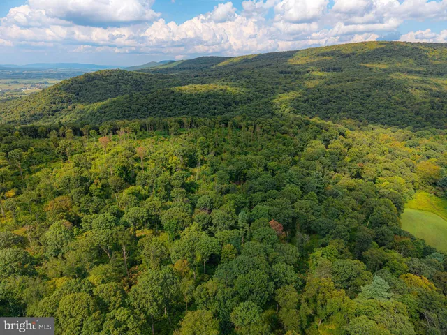 a view of an ocean from a yard