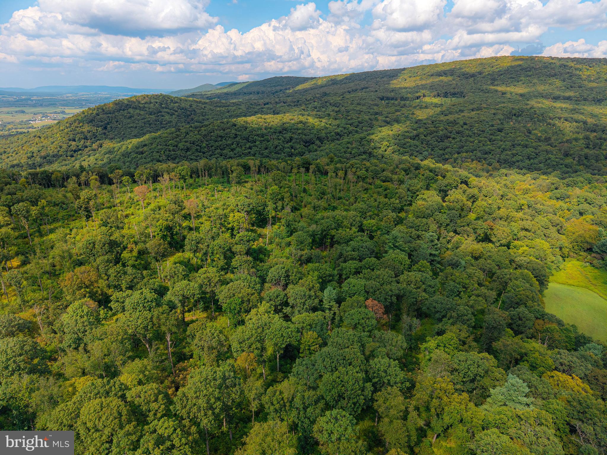 Church View Road New Enterprise, PA 16664 - Photo 11 of 43 a view of a green field with lots of bushes